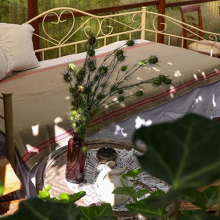Yvette'S Ferienwohnung Lugau ภายนอก รูปภาพ