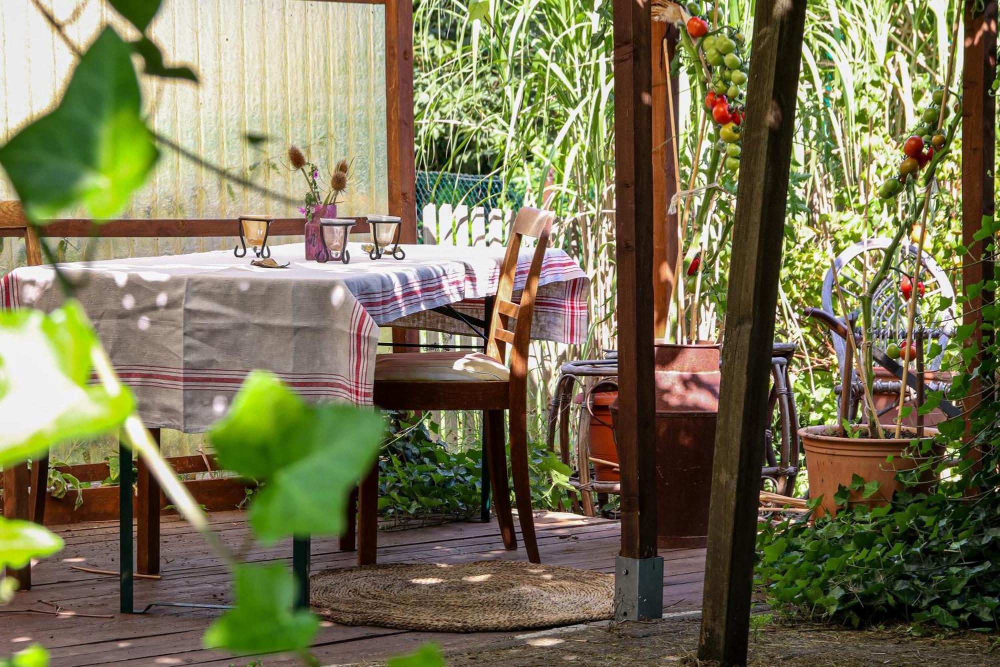 Yvette'S Ferienwohnung Lugau ภายนอก รูปภาพ